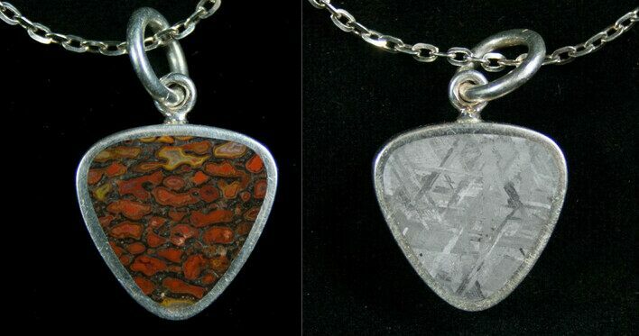 Agatized Dinosaur Bone & Gibeon Meteorite Pendant #7887